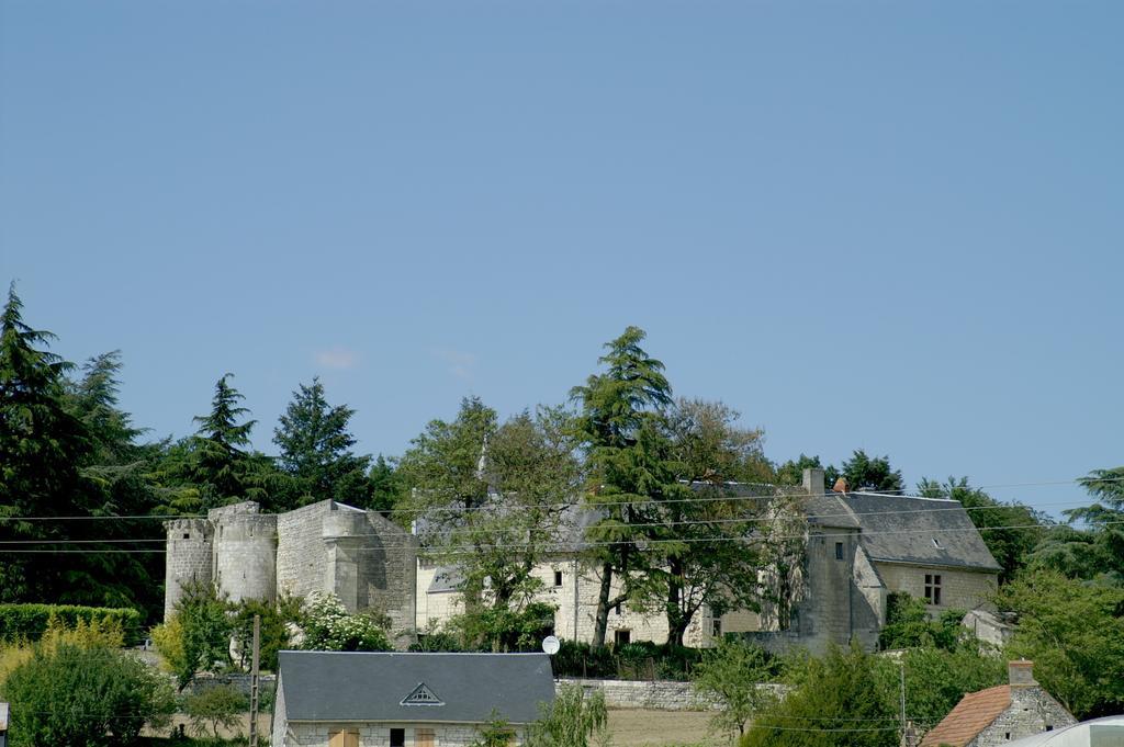 Chateau De La Roche Martel Bed and Breakfast Roiffé Eksteriør billede