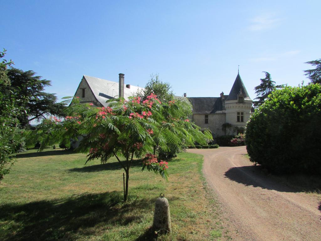Chateau De La Roche Martel Bed and Breakfast Roiffé Eksteriør billede